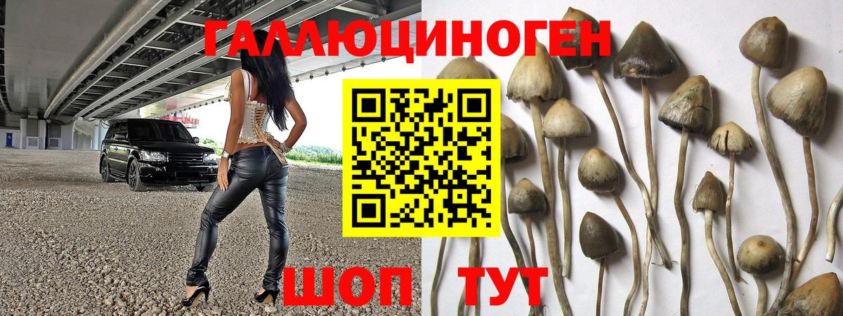 Галлюциногенные грибы MAGIC MUSHROOMS Екатеринбург