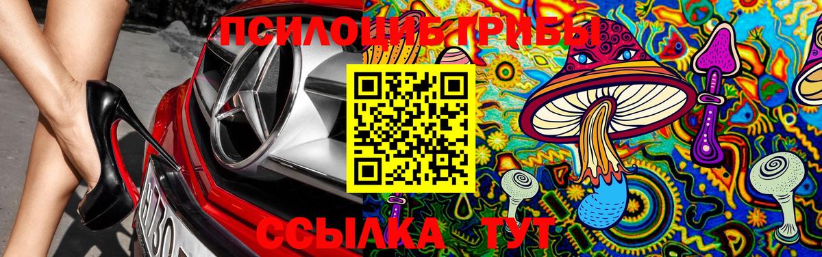 Псилоцибиновые грибы MAGIC MUSHROOMS  Вход с VPN  Екатеринбург 